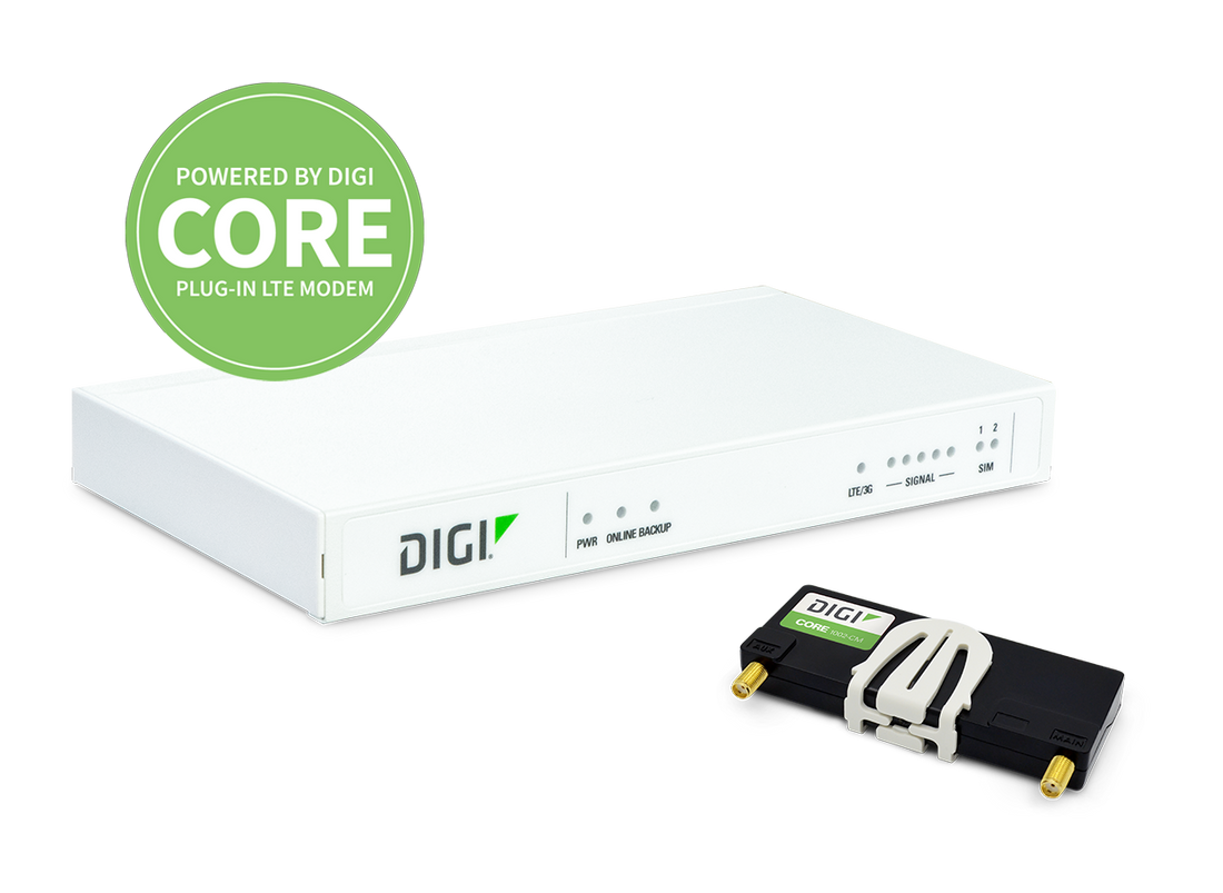 Digi Connect IT 4 Remote Console Access Server (5402-RM); 4 Serial Ports, 2 10/100 Ports; CAT 4; LTE / HSPA; Certified Globally, international plug tips