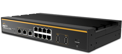 Peplink Balance 310X